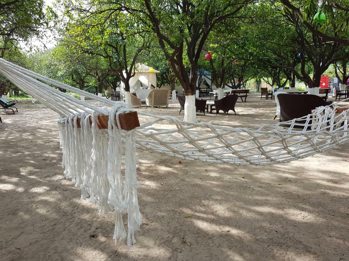 Agva Apart Otel Kemer Bagian luar foto